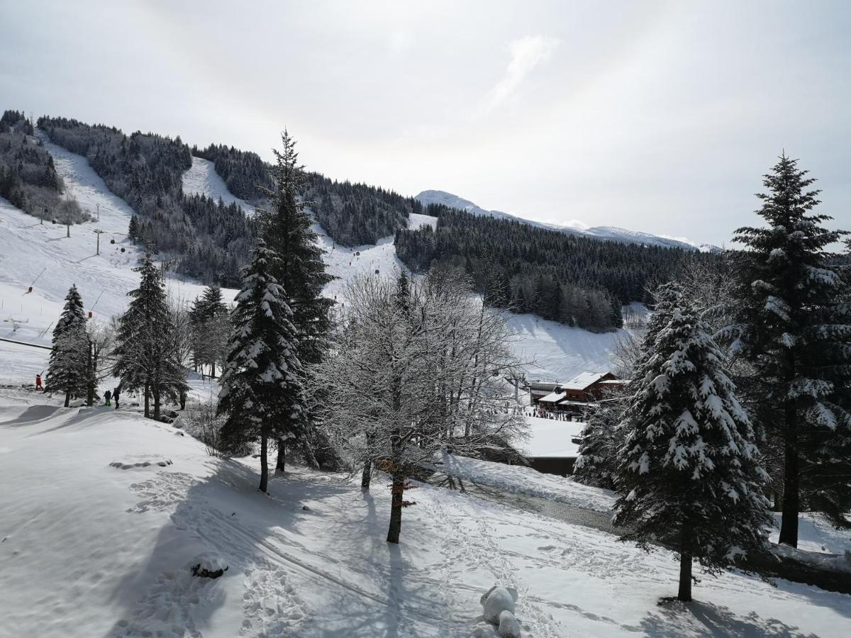 Le Balcon De Villard Villard-de-Lans Exterior foto